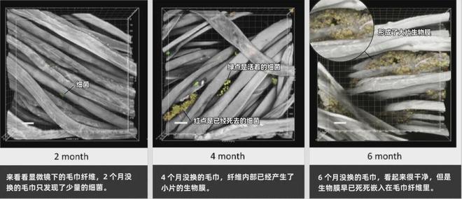 上架的同款毛巾！我们低价搞到了pg电子免费试玩模拟器胖某来刚(图7)
